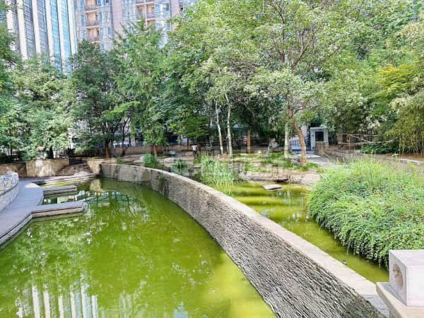 陈峻齐：5.6黄金行情走势分析及操作策略