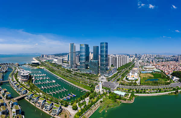 迪亚环境:第一届董事会第十二次会议决议